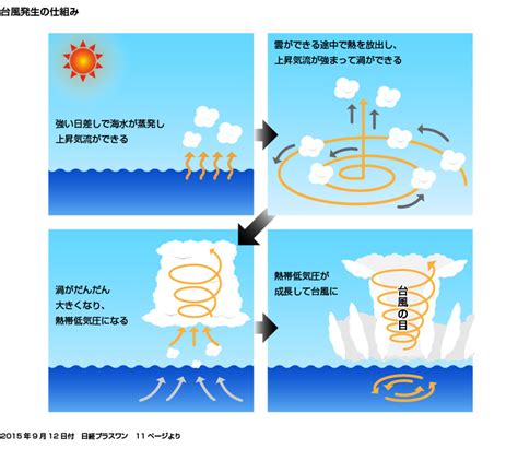 台風 水|台風とは